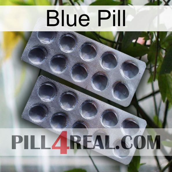 Blue Pill 31.jpg
